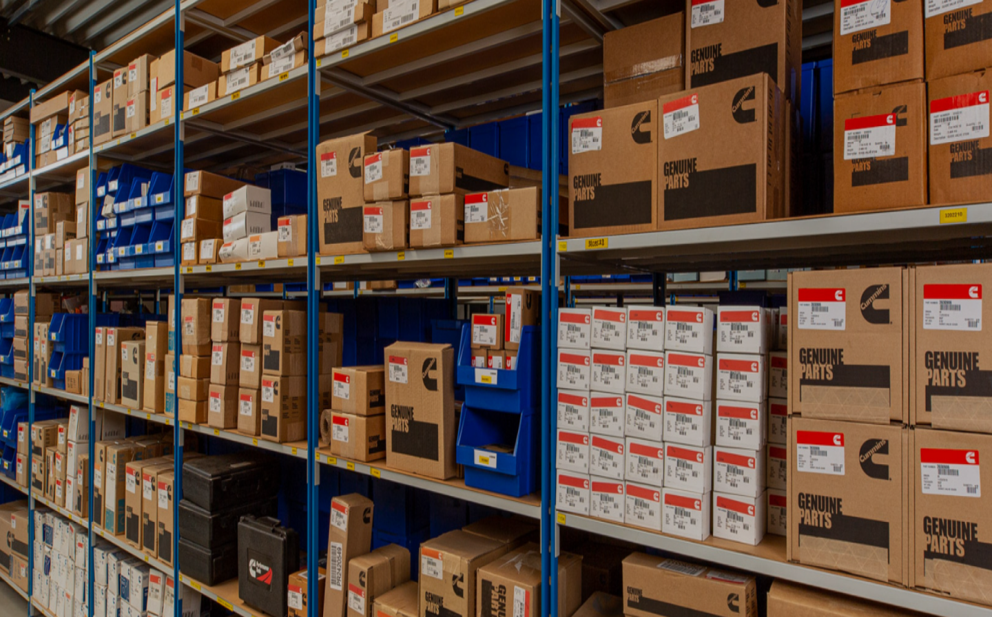 Почему выбирают нас