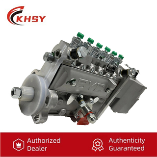BYC -впрыскивание топливного насоса 5262671 10401016094 Строительный механизм Cummins DCEC 6B 6B5.9 Двигатель частично дизельный насос