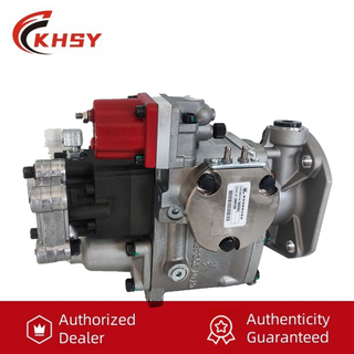 OEM PT насоса в сборе 4951544 NTA855 K19 KTA19 Насос впрыскивания топлива двигателя.